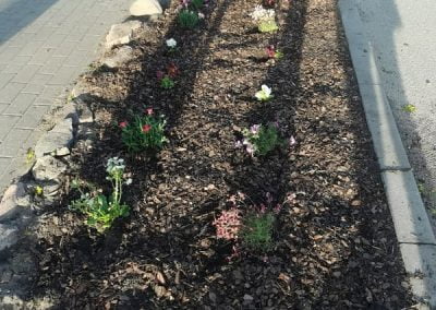 Stowarzyszenie „Chełmińskie Przedmieście Tu Mieszkam”