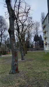 Stowarzyszenie „Chełmińskie Przedmieście Tu Mieszkam”