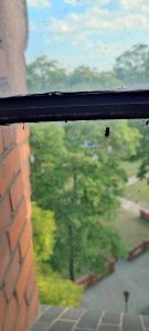 Stowarzyszenie „Chełmińskie Przedmieście Tu Mieszkam”