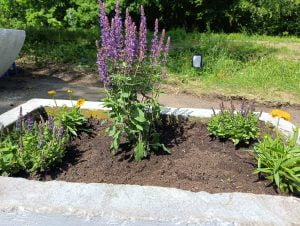 Stowarzyszenie „Chełmińskie Przedmieście Tu Mieszkam”