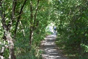 Stowarzyszenie „Chełmińskie Przedmieście Tu Mieszkam”