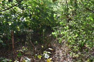 Stowarzyszenie „Chełmińskie Przedmieście Tu Mieszkam”